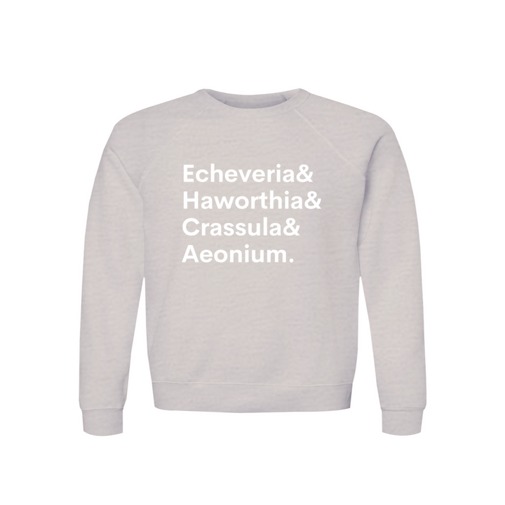 Apparel-DTG-Sweatshirt-Bella-3901-M-HeatherDust-Unisex-CF-20260810200340557