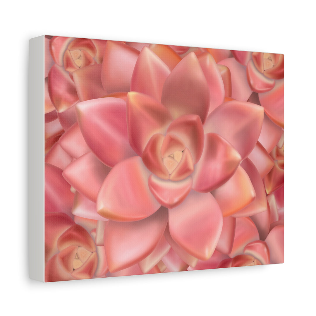 Graptosedum California Sunset Succulent Canvas Print – Botanical Wall Art - The Potted Pixel