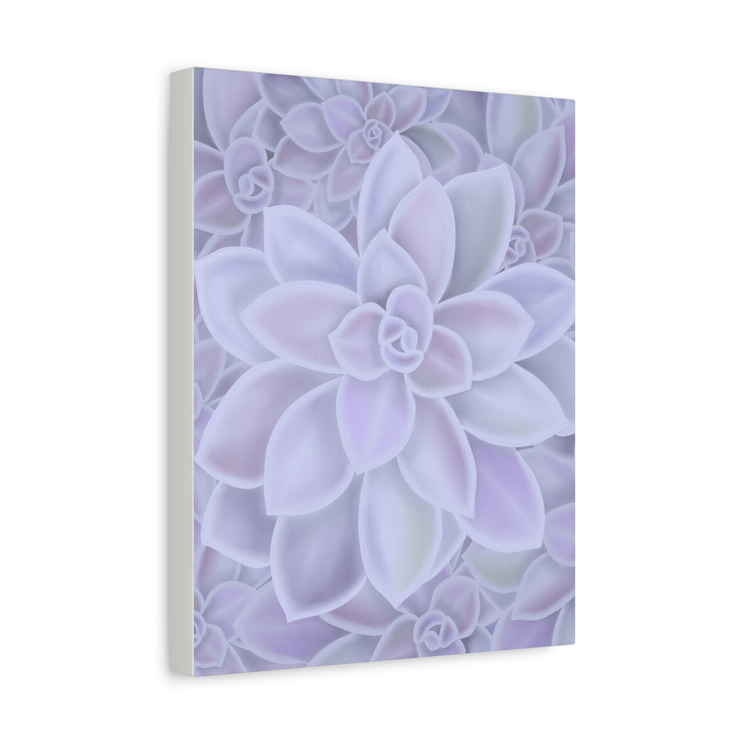 Graptopetalum Murasaki Succulent Canvas Art Print Pastel Purple Rosette Indoor Plant Decor