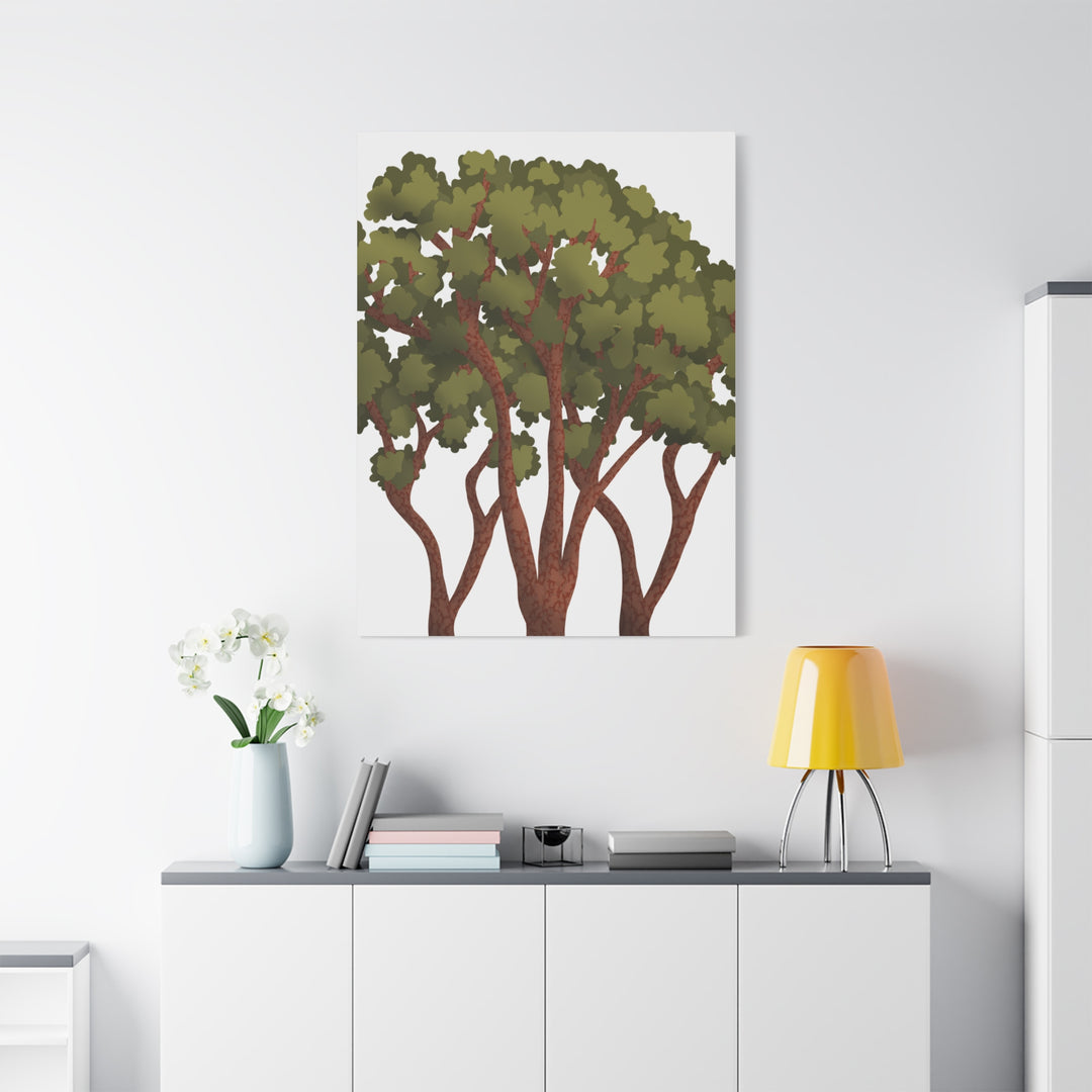 Pacific Madrone Canvas Print – Wall Art