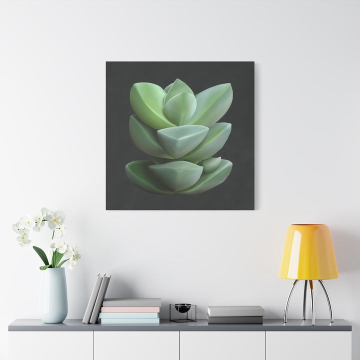 Crassula Canvas Print – Botanical Wall Art