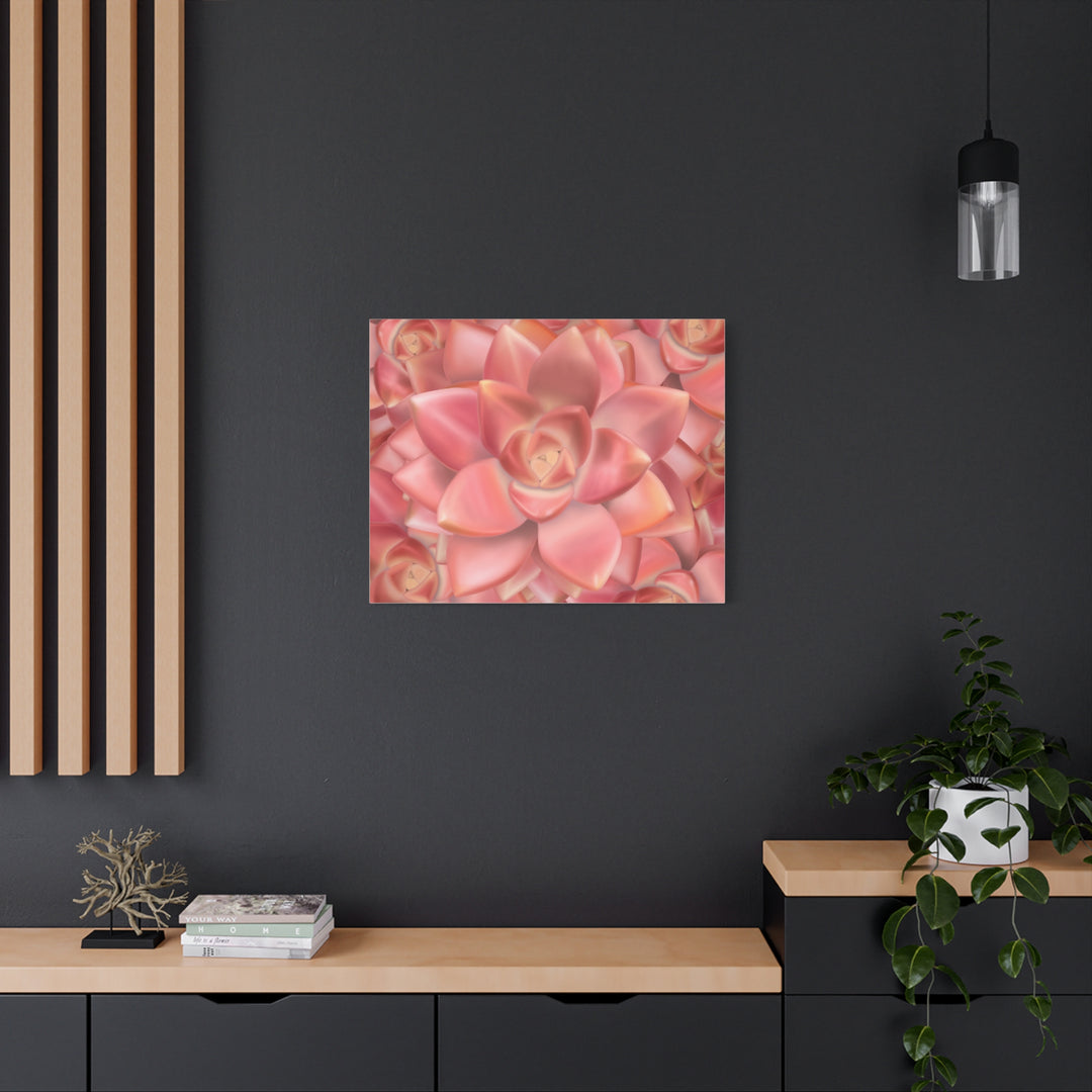 Graptosedum California Sunset Succulent Canvas Print – Botanical Wall Art - The Potted Pixel