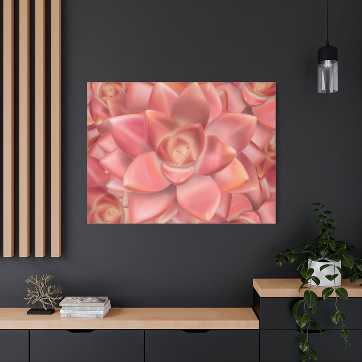 Graptosedum California Sunset Succulent Canvas Print – Botanical Wall Art - The Potted Pixel
