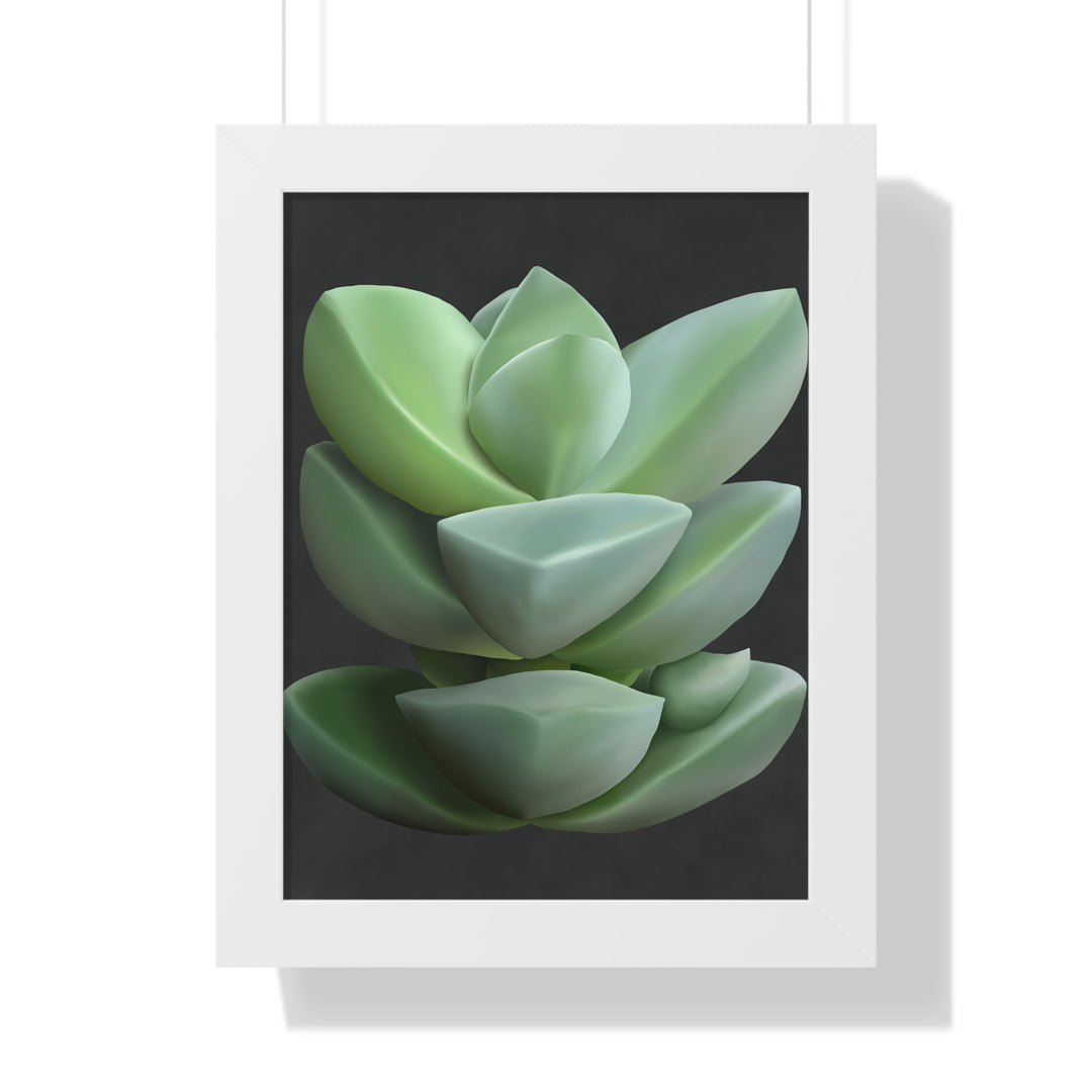 Crassula Succulent Framed Poster Vertical Botanical Wall Art