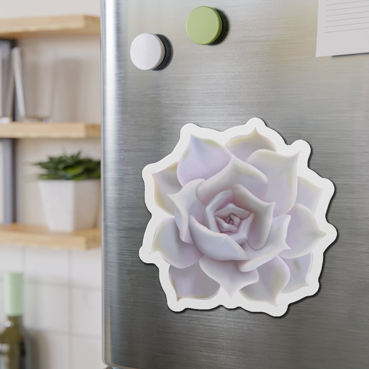Echeveria Lilacina Succulent Magnet
