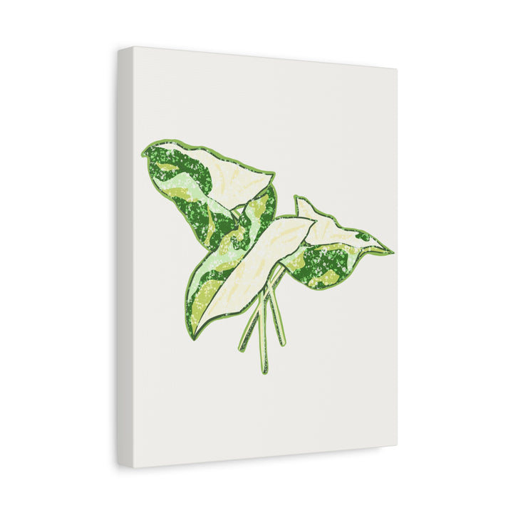 Marble Syngonium Canvas Botanical Wall Art Stretched Print On Durable Cotton Canvas Matte Finish