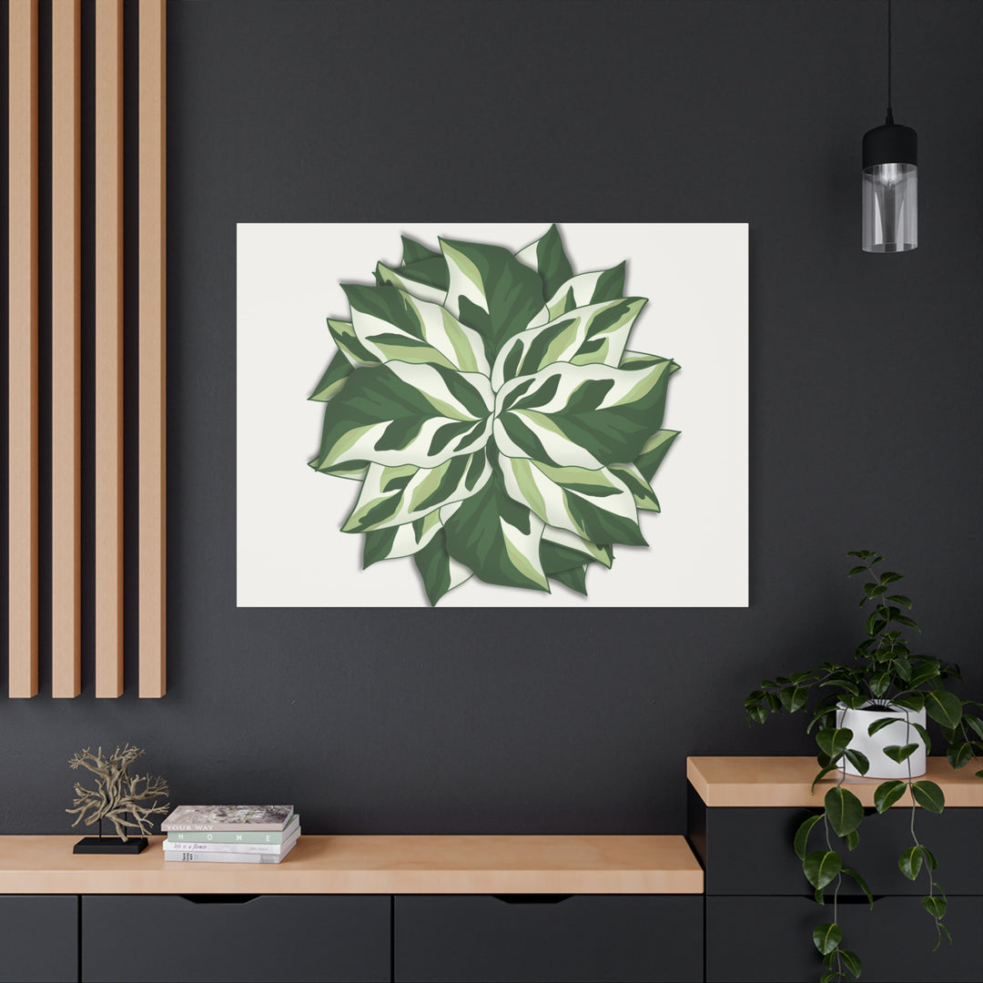 Calathea White Fusion Canvas Botanical Art Print On Stretched Cotton Canvas For Indoor Wall Decor