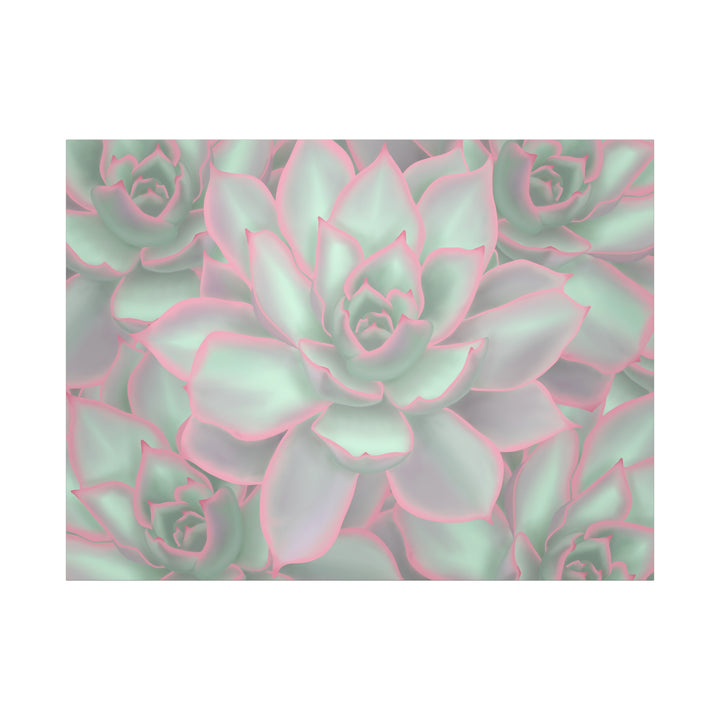 Echeveria Violet Queen Canvas Wall Art Succulent Print Matte Botanical Decor For Indoor Spaces