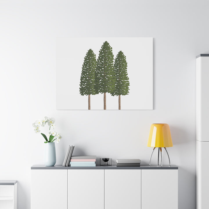 Three Ponderosa Pine Canvas Wall Art Matte Stretched Print Minimalist Forest Landscape Decor