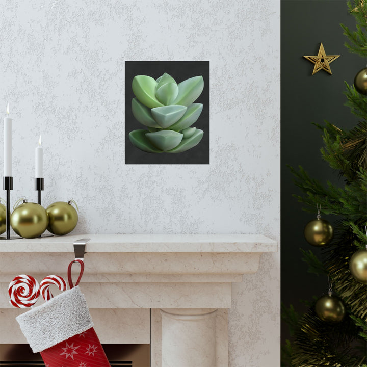 Crassula Botanical Print – Unframed Wall Art