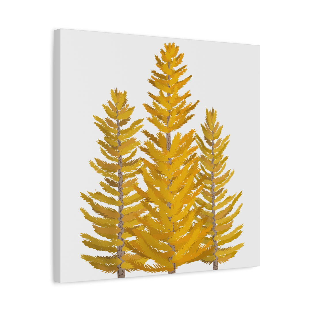 Western Larch Canvas Print – Wall Art