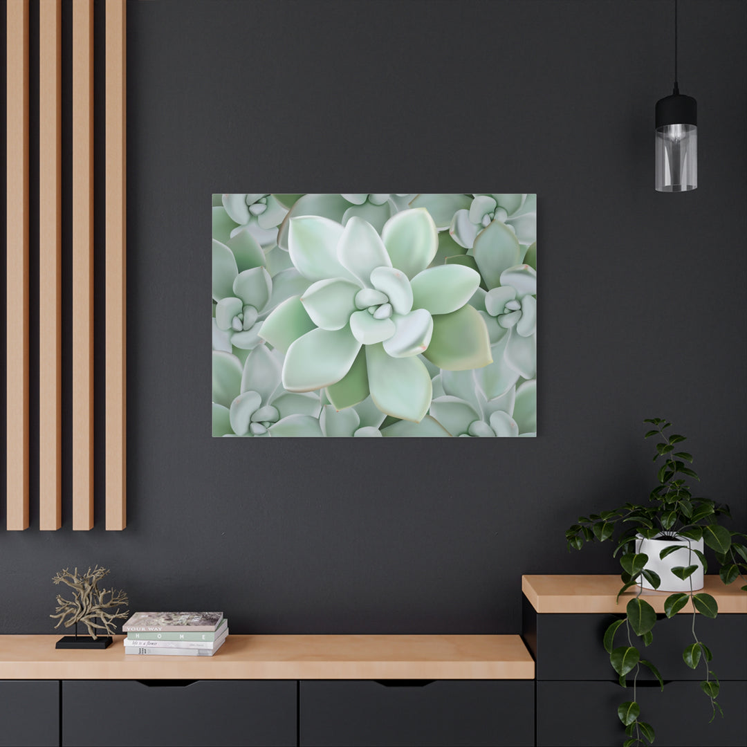 Pachyveria Haagei Succulent Pattern Canvas Art for Modern Home Decor 16x20 Matte Print