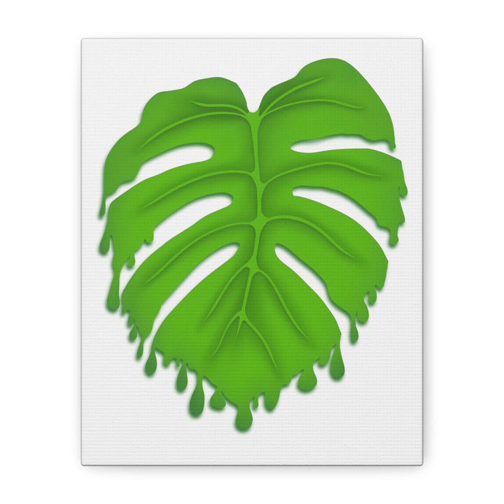 Melting Monstera Canvas Wall Art Large Botanical Print On Premium Cotton With Matte Finish For Indoor Decor