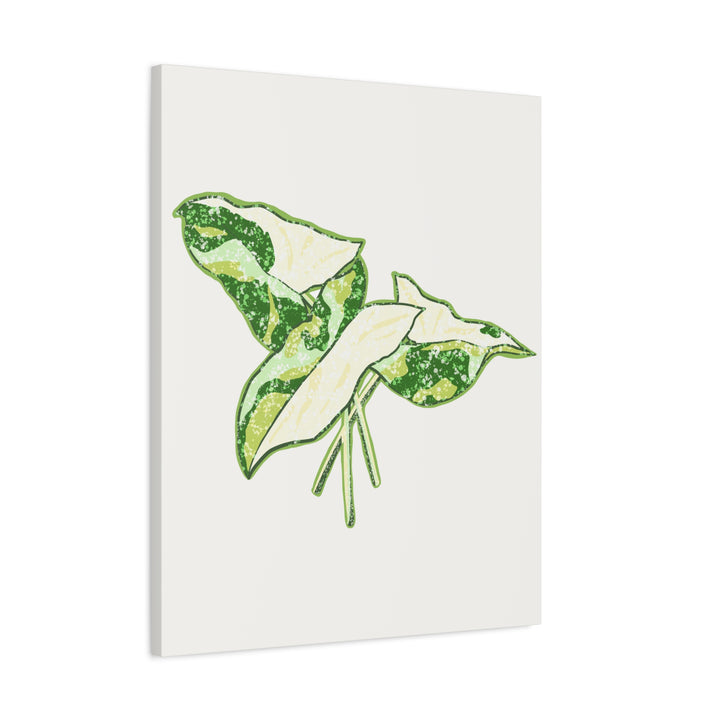 Marble Syngonium Canvas Botanical Wall Art Stretched Print On Durable Cotton Canvas Matte Finish