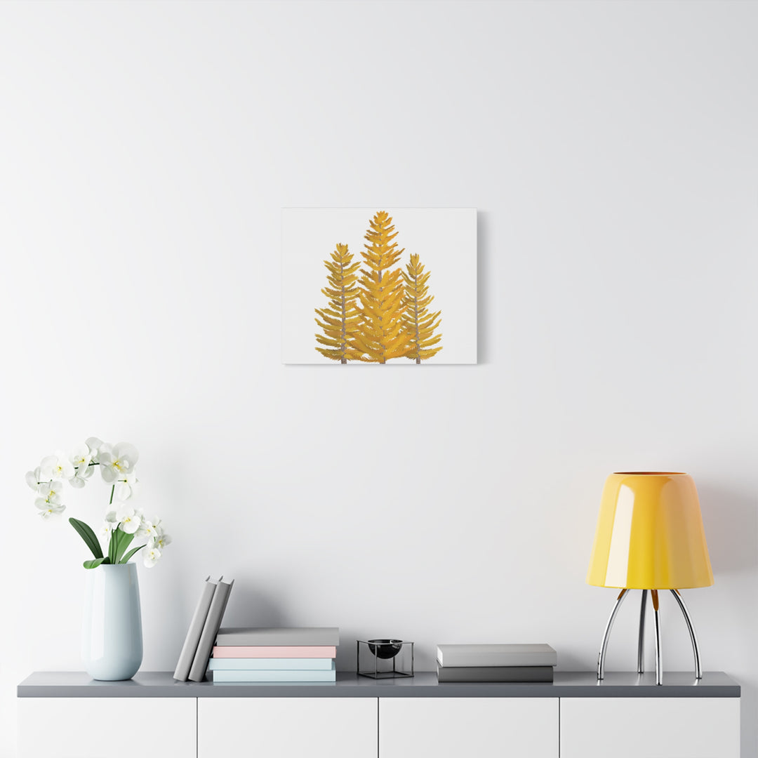 Western Larch Canvas Print – Wall Art