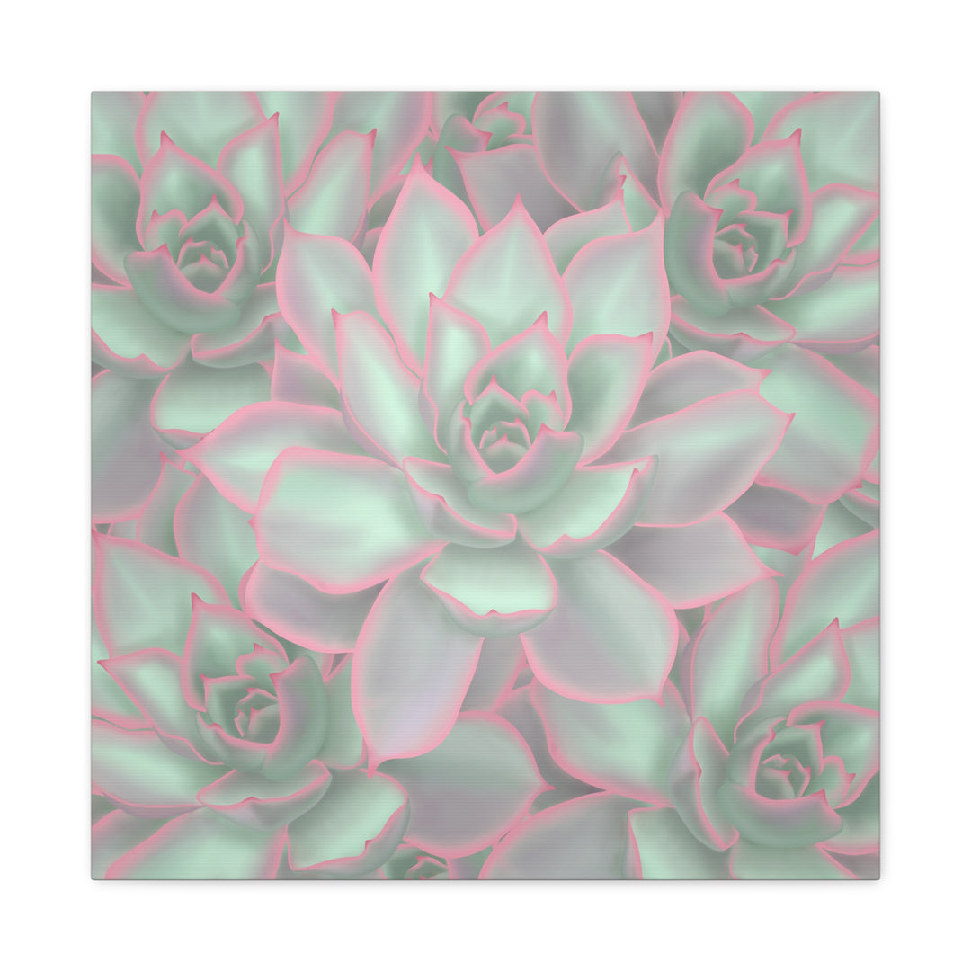 Echeveria Violet Queen Canvas Wall Art Succulent Print Matte Botanical Decor For Indoor Spaces