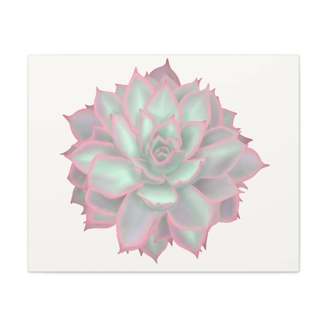 Echeveria Violet Queen Canvas Wall Art Rosette Succulent Print With Matte Finish