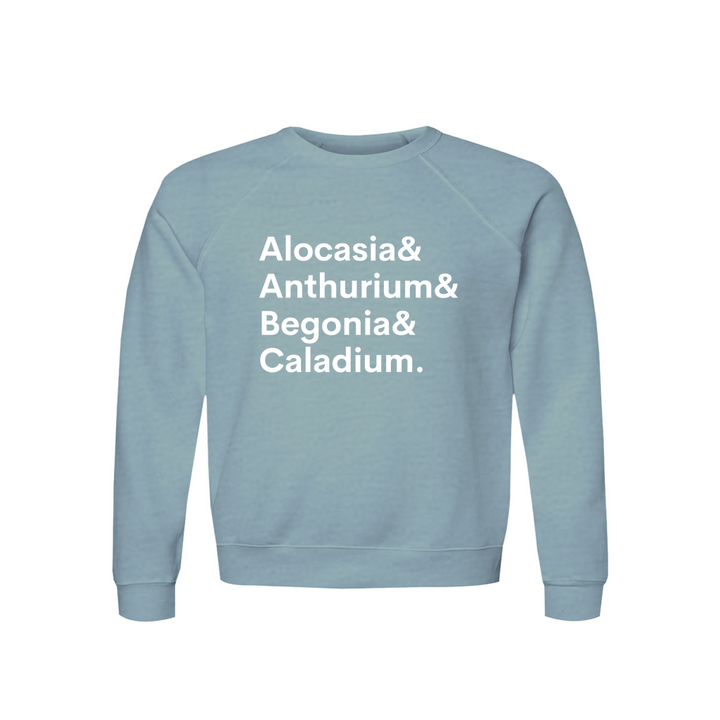 Apparel-DTG-Sweatshirt-Bella-3901-M-HeatherBlueLagoon-Unisex-CF-20260810195524641