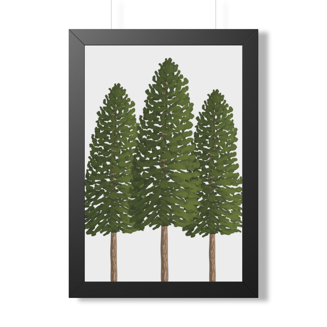 Ponderosa Pine Framed Print – Wall Art