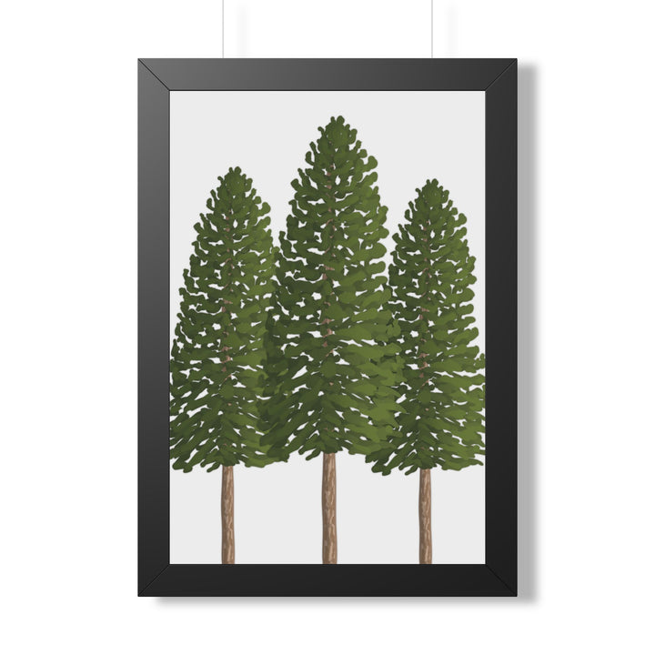 Ponderosa Pine Framed Print – Wall Art
