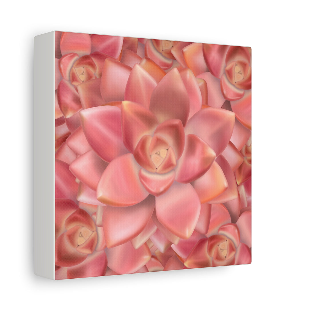 Graptosedum California Sunset Succulent Canvas Print – Botanical Wall Art - The Potted Pixel