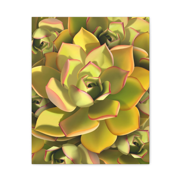 Succulent Canvas Art Vibrant Aeonium Print On Matte Canvas Wall Decor 12x18 Inches Indoor Home