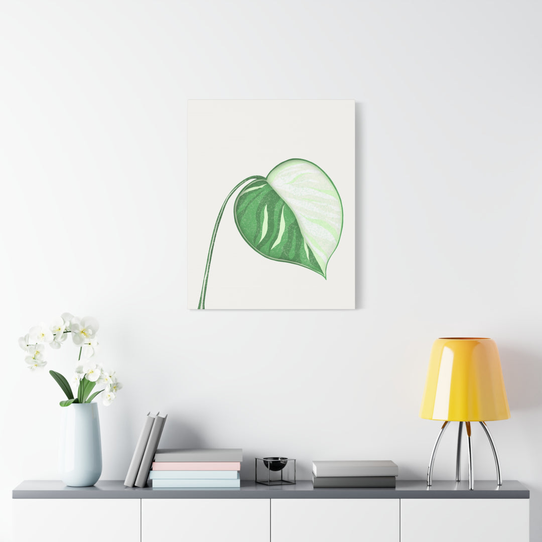 Monstera Albo Canvas Large Stretched Premium Quality Cotton Canvas Wall Art Tropical Leaf Poster Decor