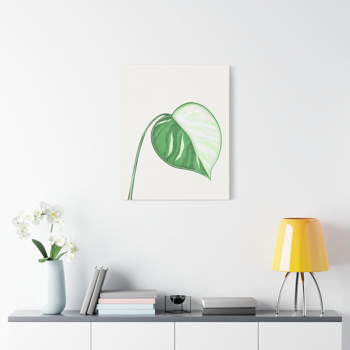 Monstera Albo Canvas Large Stretched Premium Quality Cotton Canvas Wall Art Tropical Leaf Poster Decor
