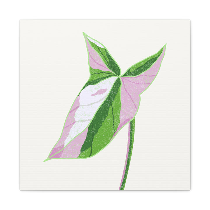 Syngonium Tricolor Canvas Print – Botanical Wall Art - The Potted Pixel