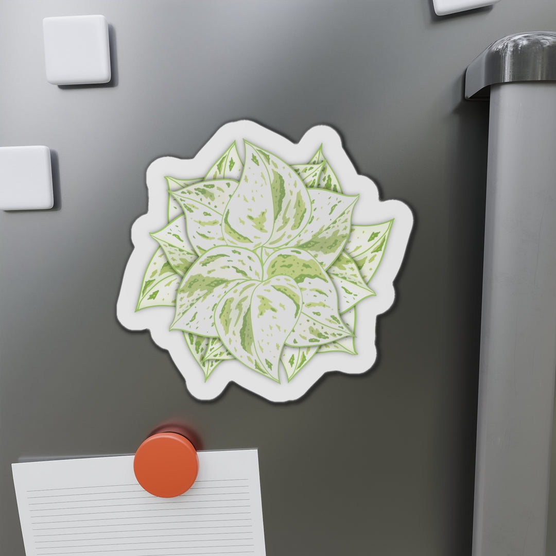 Snow Queen Pothos Magnet