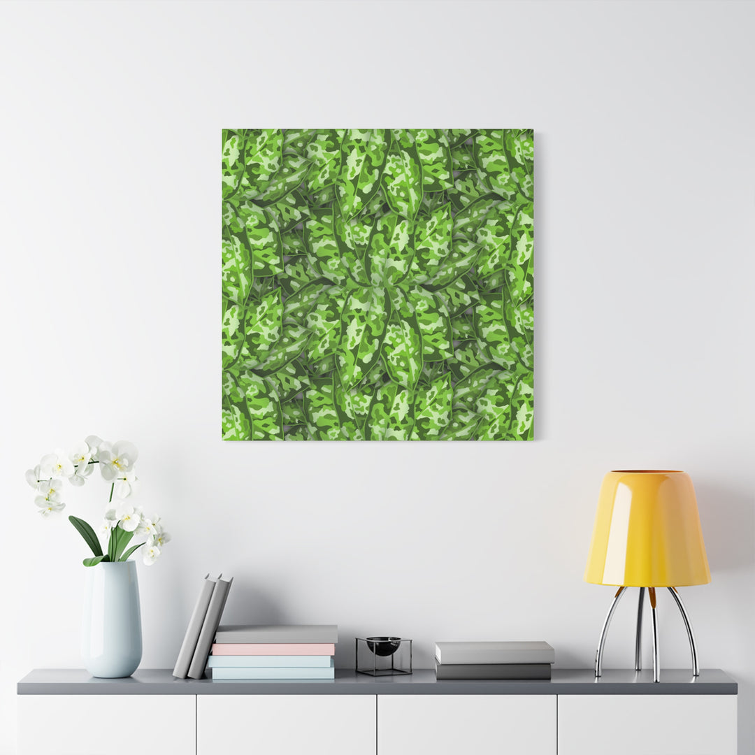 Aglaonema Pictum Canvas Wall Art Rare Plant Print Matte Finish For Modern Home Decor