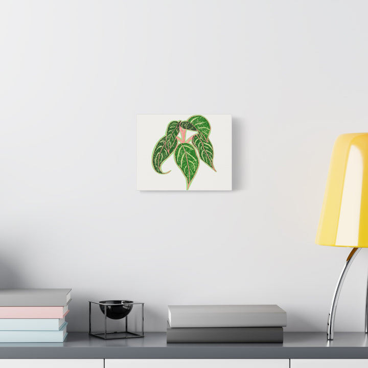 Aglaonema Sparkling Sarah Botanical Canvas Print On Matte Stretch Canvas For Modern Living Room Decor