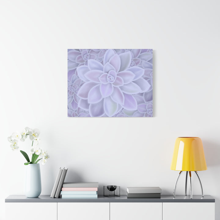 Graptopetalum Murasaki Succulent Canvas Art Print Pastel Purple Rosette Indoor Plant Decor