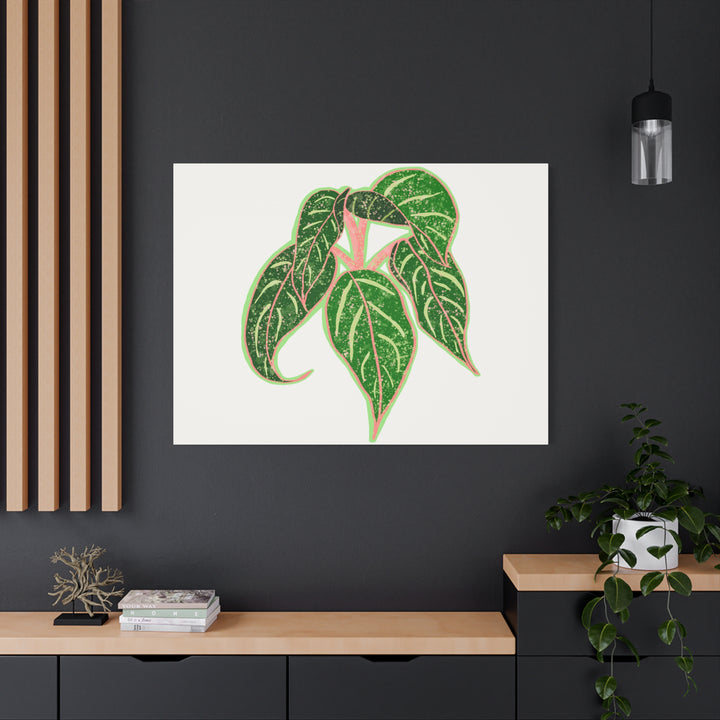 Aglaonema Sparkling Sarah Botanical Canvas Print On Matte Stretch Canvas For Modern Living Room Decor