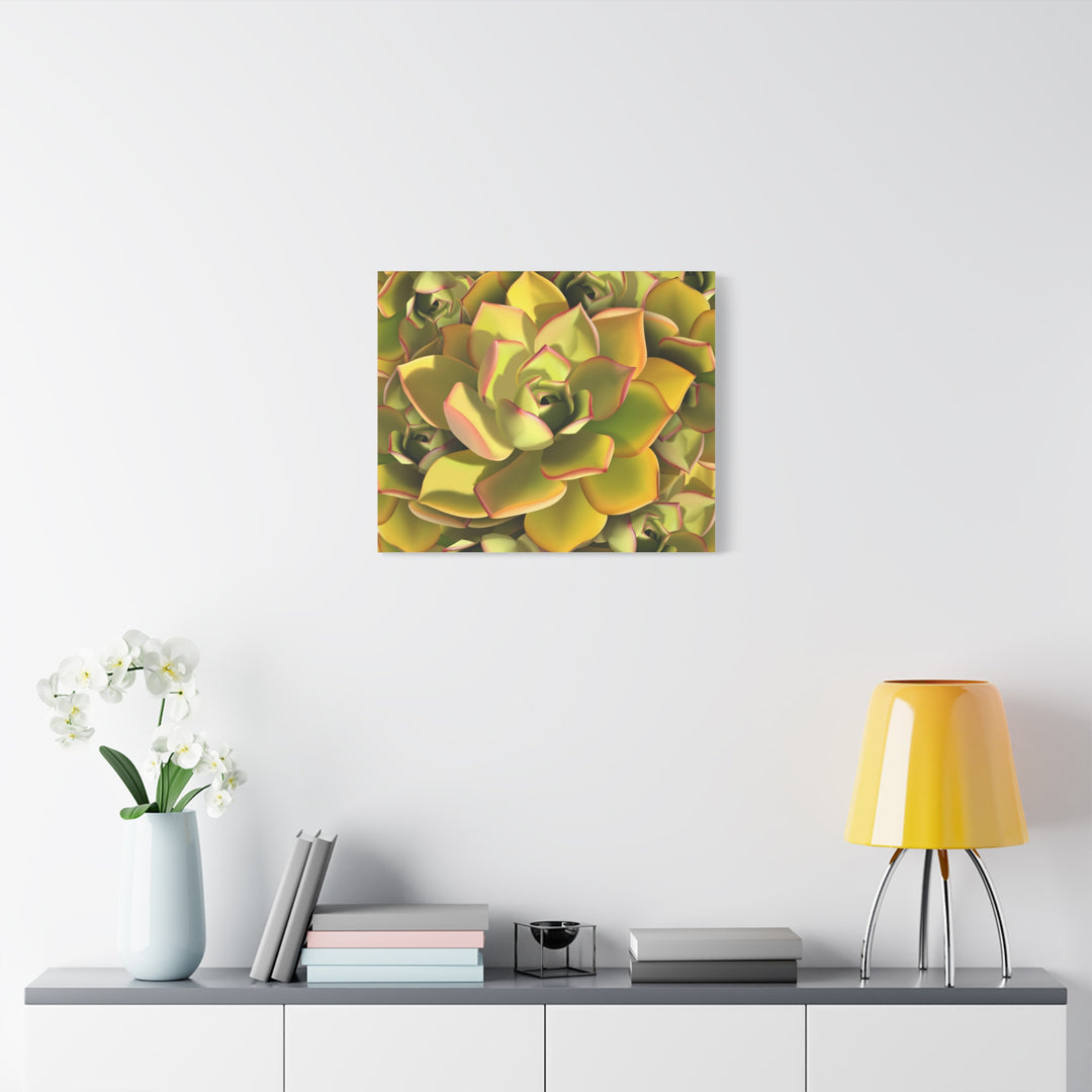 Succulent Canvas Art Vibrant Aeonium Print On Matte Canvas Wall Decor 12x18 Inches Indoor Home