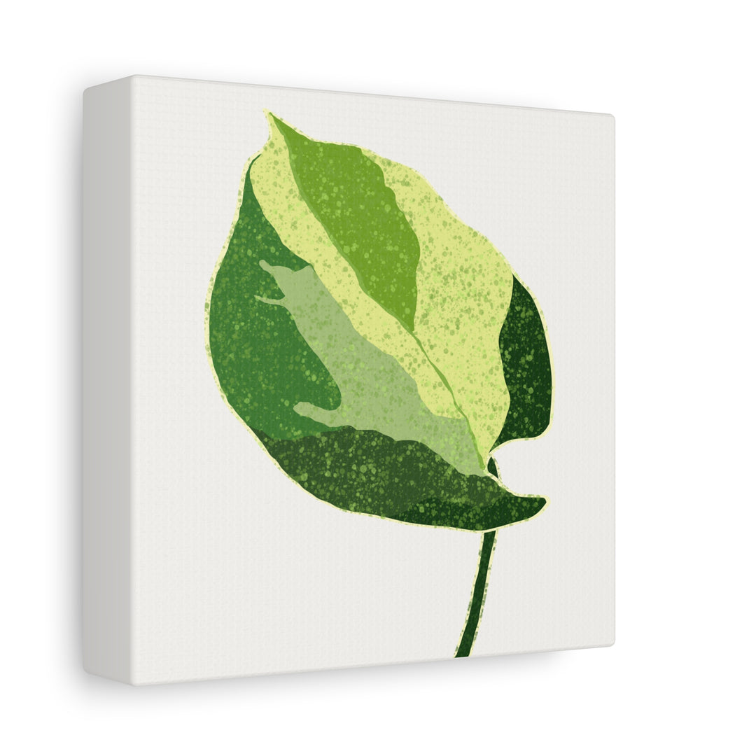 Manjula Pothos Botanical Canvas Print Matte Finish Stretched Canvas Wall Art 1.25 Inch Depth