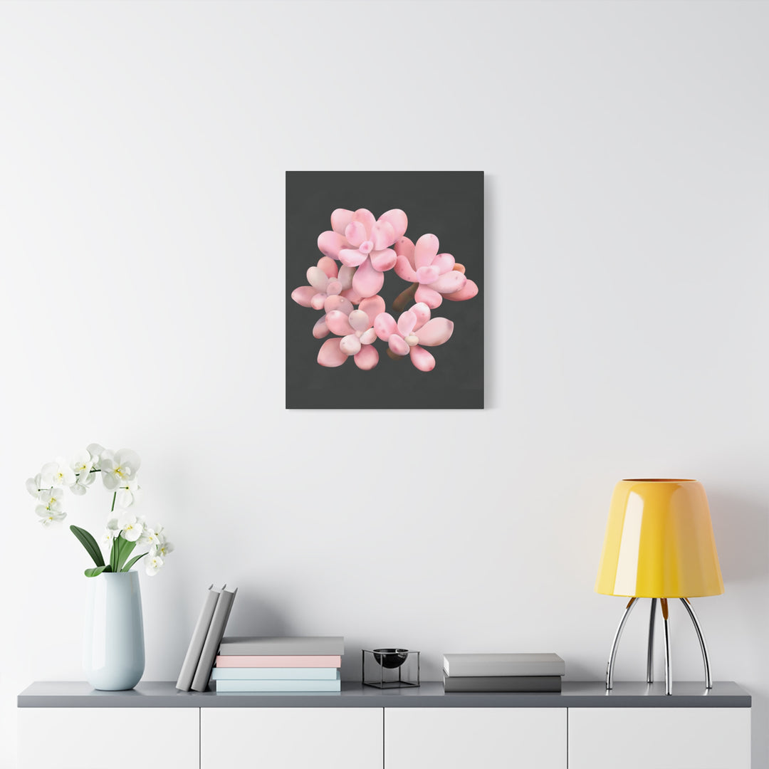 Pink Moonstone Canvas Print – Botanical Wall Art