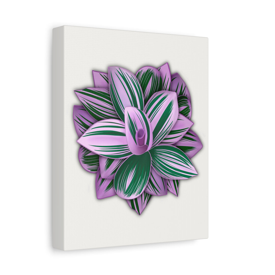 Tradescantia Nanouk Canvas Botanical Wall Art Print Pink Green Foliage On Stretched Cotton Canvas