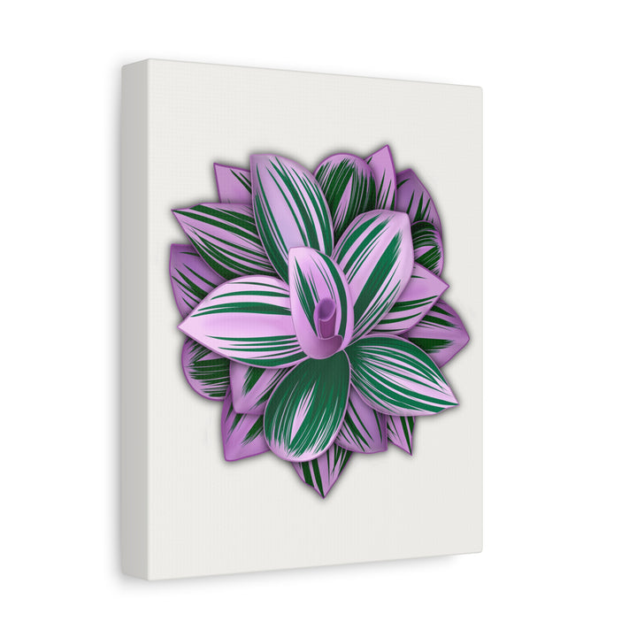 Tradescantia Nanouk Canvas Botanical Wall Art Print Pink Green Foliage On Stretched Cotton Canvas