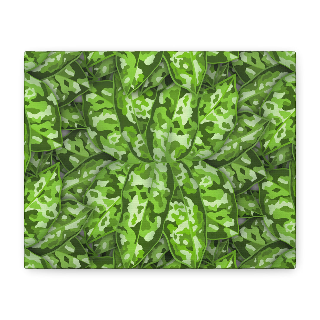 Aglaonema Pictum Canvas Wall Art Rare Plant Print Matte Finish For Modern Home Decor