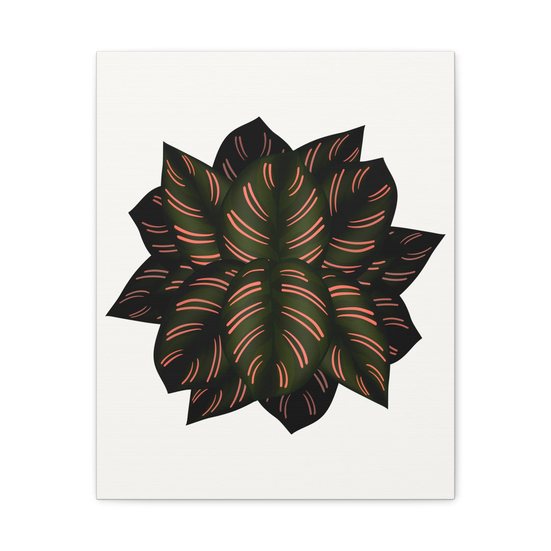 Calathea Pinstripe Canvas Botanical Wall Art Print On Stretched Cotton Canvas For Living Room Decor