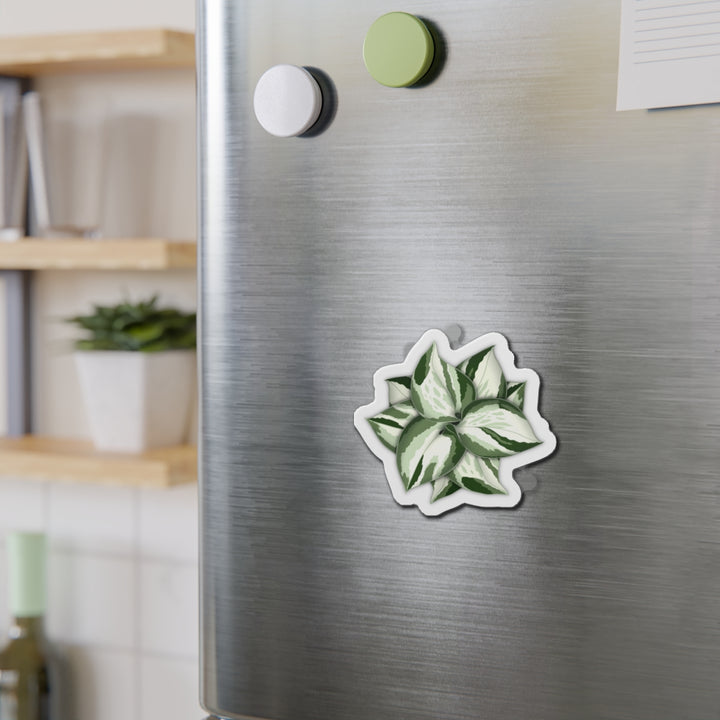 Manjula Pothos Magnet