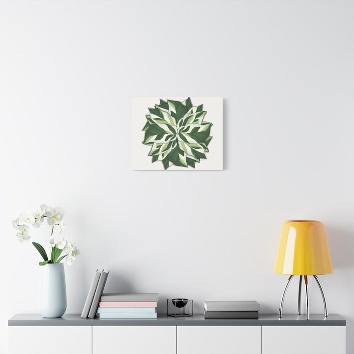 Calathea White Fusion Canvas Botanical Art Print On Stretched Cotton Canvas For Indoor Wall Decor