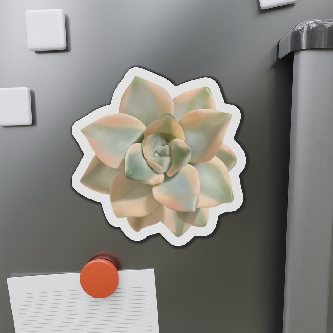 Graptoveria Titubans Succulent Magnet