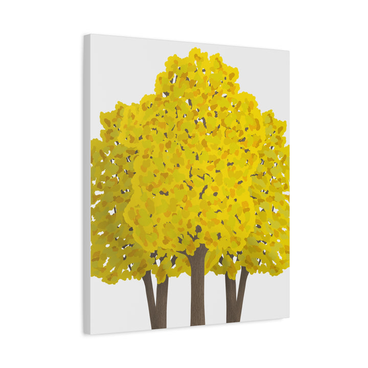 Big Leaf Maple Canvas Print – Wall Art