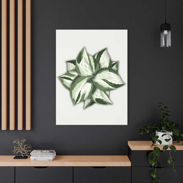 Manjula Pothos Canvas Print Stretched Matte Canvas Wall Art For Living Room And Office