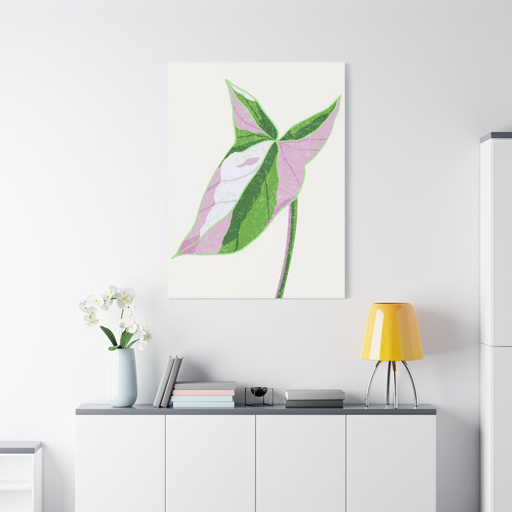Syngonium Tricolor Canvas Print – Botanical Wall Art - The Potted Pixel