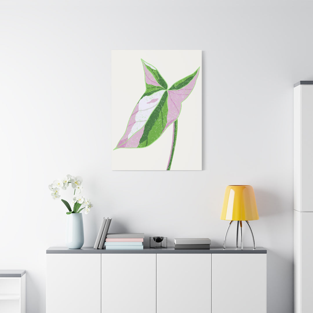 Syngonium Tricolor Canvas Print – Botanical Wall Art - The Potted Pixel