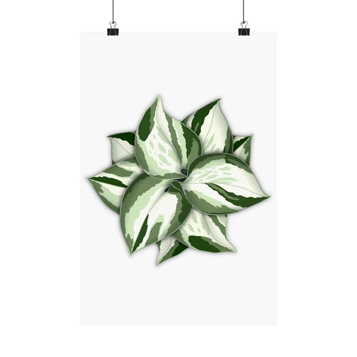 Manjula Pothos Print – Botanical Wall Art | Green Leaf Wall Decor | Unframed - The Potted Pixel