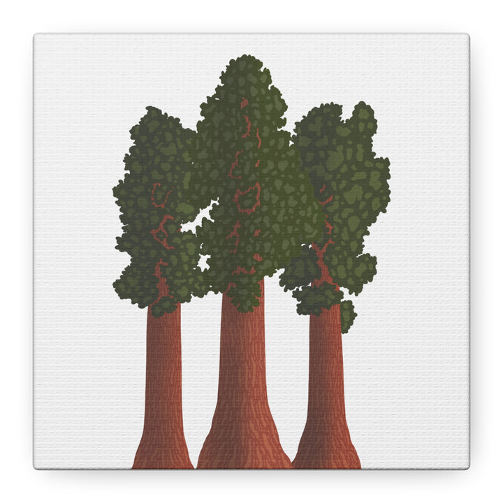 Giant Sequoias Canvas Print – Wall Art